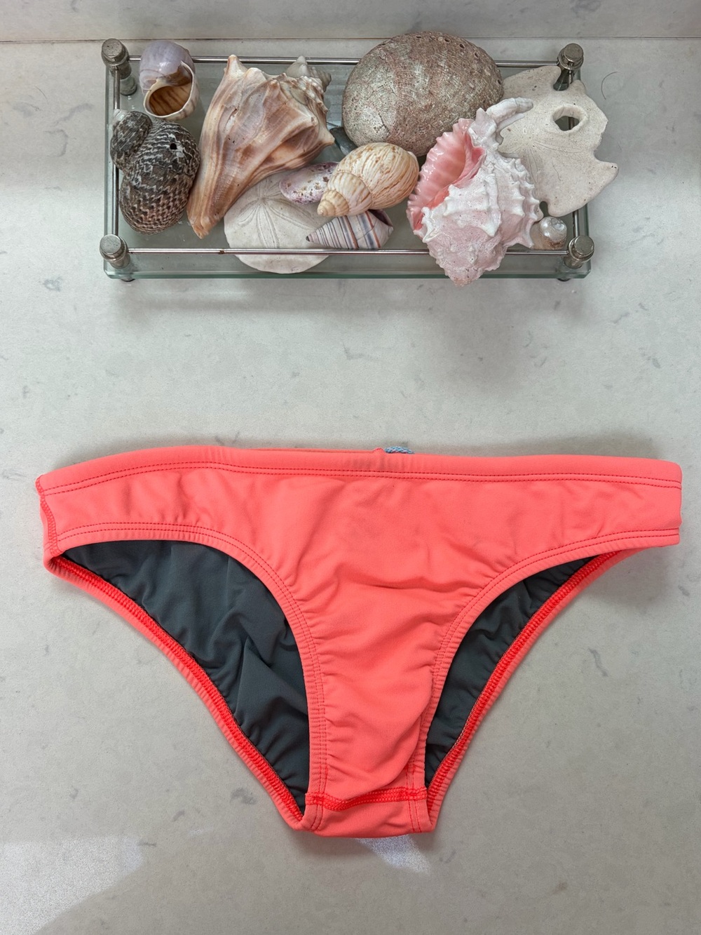 Jolyn Clothing Coral Swim Bottoms with Gray Lining